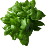 Test 3